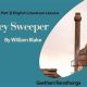 Easy The Chimney Sweeper Explanation: A Simple Guide | Chimney Works – Expert Chimney Repair, Cleaning & Installation Services
