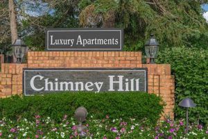 Chimney Apts: Safety Tips for Shared Flue Living Chimney Works – Expert Chimney Repair, Cleaning & Installation Services Chimney Apts: Safety Tips for Shared Flue Living | Chimney Works – Expert Chimney Repair, Cleaning & Installation Services