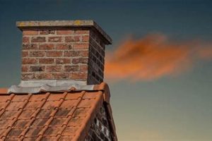 Dealing with Wasps in Chimney: Removal & Prevention Chimney Works – Expert Chimney Repair, Cleaning & Installation Services Dealing with Wasps in Chimney: Removal & Prevention | Chimney Works – Expert Chimney Repair, Cleaning & Installation Services