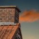Dealing with Wasps in Chimney: Removal &amp; Prevention | Chimney Works – Expert Chimney Repair, Cleaning & Installation Services