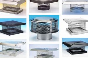 Protect with a Chimney Cap Screen: Installation & Benefits Chimney Works – Expert Chimney Repair, Cleaning & Installation Services Protect with a Chimney Cap Screen: Installation & Benefits | Chimney Works – Expert Chimney Repair, Cleaning & Installation Services