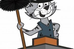 Protect Your Home: Top Cat Chimney Guards & More | Chimney Works – Expert Chimney Repair, Cleaning & Installation Services