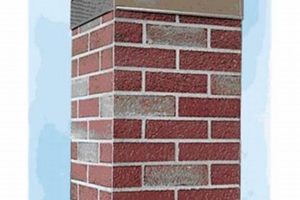 Protect Your Chimney: Chimney Housing Kit Solutions Now! | Chimney Works – Expert Chimney Repair, Cleaning & Installation Services