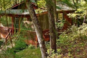 Escape: Cabins Near Chimney Rock, NC + Deals | Chimney Works – Expert Chimney Repair, Cleaning & Installation Services