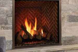 Gas Chimney Insert: Cost, Benefits, & Best Picks | Chimney Works – Expert Chimney Repair, Cleaning & Installation Services