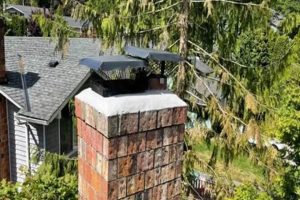 Everett WA Chimney Sweep: Expert Cleaning & Repair | Chimney Works – Expert Chimney Repair, Cleaning & Installation Services