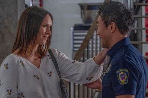 Will Chimney Leave 9-1-1? Future &amp; Fate Explored | Chimney Works – Expert Chimney Repair, Cleaning & Installation Services