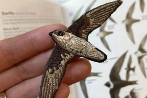 Why Chimney Birds Matter: [Chimney Bird] Care Tips | Chimney Works – Expert Chimney Repair, Cleaning & Installation Services