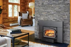 Is Your Black Goose Chimney Safe? Expert Insights & Tips | Chimney Works – Expert Chimney Repair, Cleaning & Installation Services