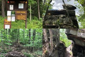 Explore Chimney Mountain, NY: Hikes &amp; Views! | Chimney Works – Expert Chimney Repair, Cleaning & Installation Services