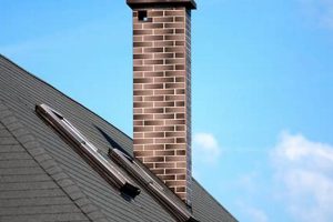 Bird in Chimney? How to Get Bird Out of Chimney Safely! | Chimney Works – Expert Chimney Repair, Cleaning & Installation Services