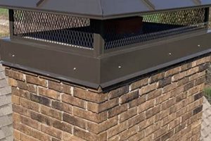 Protect Your Chimney: Best Rain Cap Chimney Options Chimney Works – Expert Chimney Repair, Cleaning & Installation Services Protect Your Chimney: Best Rain Cap Chimney Options | Chimney Works – Expert Chimney Repair, Cleaning & Installation Services