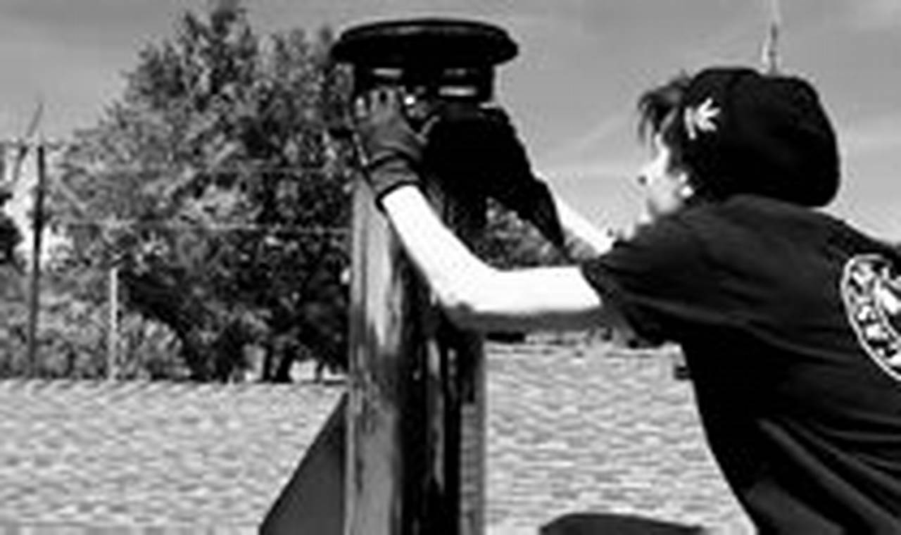 Why Cascade Chimney Sweep? [Year] - Expert Service | Chimney Works – Expert Chimney Repair, Cleaning & Installation Services