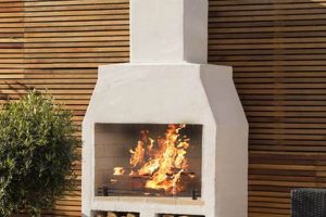 Best Barbecue Chimney Starter? Grill Chimney Guide! Chimney Works – Expert Chimney Repair, Cleaning & Installation Services Best Barbecue Chimney Starter? Grill Chimney Guide! | Chimney Works – Expert Chimney Repair, Cleaning & Installation Services