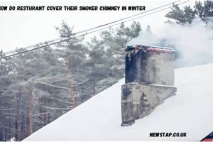 Winter Prep: Should You Cover Your Smoker Chimney? Tips & Tricks Chimney Works – Expert Chimney Repair, Cleaning & Installation Services Winter Prep: Should You Cover Your Smoker Chimney? Tips & Tricks | Chimney Works – Expert Chimney Repair, Cleaning & Installation Services