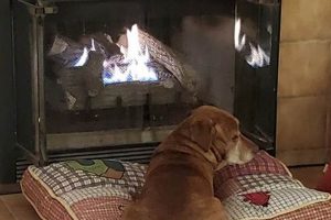 Why Chimney Heroes Matter: Safety & Care Chimney Works – Expert Chimney Repair, Cleaning & Installation Services Why Chimney Heroes Matter: Safety & Care | Chimney Works – Expert Chimney Repair, Cleaning & Installation Services