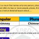 Understanding Chimney Plurals: Expert Guide & Tips | Chimney Works – Expert Chimney Repair, Cleaning & Installation Services