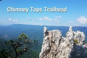Explore Chimney Gulch Trailhead: Hikes & Nature Await! Chimney Works – Expert Chimney Repair, Cleaning & Installation Services Explore Chimney Gulch Trailhead: Hikes & Nature Await! | Chimney Works – Expert Chimney Repair, Cleaning & Installation Services