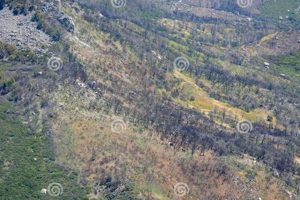 The Chimney Rock Aftermath: Restoration &amp; Resilience | Chimney Works – Expert Chimney Repair, Cleaning & Installation Services