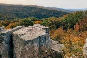 Explore Chimney Rock, MD: Your Guide to Nature &amp; More | Chimney Works – Expert Chimney Repair, Cleaning & Installation Services