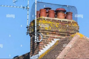 Protect Your Chimney: Best Bird Guard Solutions Chimney Works – Expert Chimney Repair, Cleaning & Installation Services Protect Your Chimney: Best Bird Guard Solutions | Chimney Works – Expert Chimney Repair, Cleaning & Installation Services