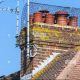 Protect Your Chimney: Best Bird Guard Solutions | Chimney Works – Expert Chimney Repair, Cleaning & Installation Services