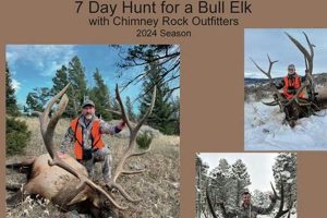 Your Chimney Rock Outfitters Adventure Awaits! | Chimney Works – Expert Chimney Repair, Cleaning & Installation Services