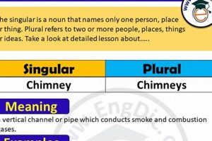 Maintain Your Chimneys: Safety & Repair Tips Chimney Works – Expert Chimney Repair, Cleaning & Installation Services Maintain Your Chimneys: Safety & Repair Tips | Chimney Works – Expert Chimney Repair, Cleaning & Installation Services