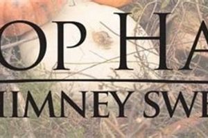 Florence SC Chimney Sweep: Clean & Safe Chimneys Chimney Works – Expert Chimney Repair, Cleaning & Installation Services Florence SC Chimney Sweep: Clean & Safe Chimneys | Chimney Works – Expert Chimney Repair, Cleaning & Installation Services