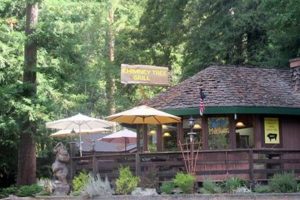 Best Chimney Tree Grill: Reviews & Buying Guide 2024 Chimney Works – Expert Chimney Repair, Cleaning & Installation Services Best Chimney Tree Grill: Reviews & Buying Guide 2024 | Chimney Works – Expert Chimney Repair, Cleaning & Installation Services