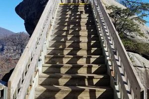 Explore: Chimney Rock to Grandfather Mountain Hikes & Views Chimney Works – Expert Chimney Repair, Cleaning & Installation Services Explore: Chimney Rock to Grandfather Mountain Hikes & Views | Chimney Works – Expert Chimney Repair, Cleaning & Installation Services