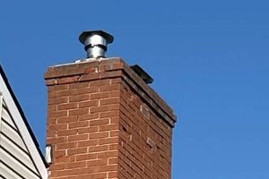 Chelsea's Chimney Experts: Repair & Cleaning Chimney Works – Expert Chimney Repair, Cleaning & Installation Services Chelsea's Chimney Experts: Repair & Cleaning | Chimney Works – Expert Chimney Repair, Cleaning & Installation Services