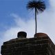 Akron Chimney Sweep Pros: Cleaning &amp; Repair Ohio | Chimney Works – Expert Chimney Repair, Cleaning & Installation Services