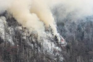 Chimney Tops Fire Aftermath: Prevention & Lessons | Chimney Works – Expert Chimney Repair, Cleaning & Installation Services