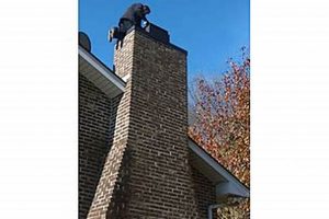 Reliable Chimney Sweeps in Knoxville, TN: Experts Near You Chimney Works – Expert Chimney Repair, Cleaning & Installation Services Reliable Chimney Sweeps in Knoxville, TN: Experts Near You | Chimney Works – Expert Chimney Repair, Cleaning & Installation Services