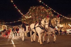 Discover Chimney Rock Christmas: Your Festive Holiday Guide | Chimney Works – Expert Chimney Repair, Cleaning & Installation Services