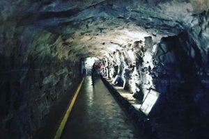 Chimney Rock Elevator: Access &amp; Views Guide | Chimney Works – Expert Chimney Repair, Cleaning & Installation Services