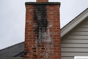 Affordable Chimney Waterproofing Near Me: Protect Your Home | Chimney Works – Expert Chimney Repair, Cleaning & Installation Services
