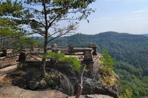 Explore Chimney Top Trails: Hikes & Views Await! | Chimney Works – Expert Chimney Repair, Cleaning & Installation Services