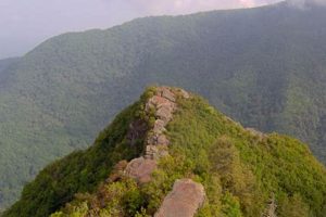 Explore Chimney Top Mountain: Hiking, Views & Nature | Chimney Works – Expert Chimney Repair, Cleaning & Installation Services
