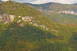 Visit Chimney Rock State Park Rumbling Bald: Hikes & Bouldering! | Chimney Works – Expert Chimney Repair, Cleaning & Installation Services