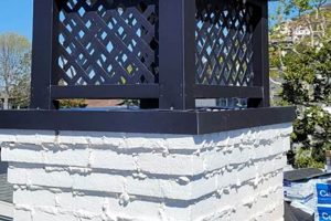 Lucky Sully: Expert Chimney Sweep Services Near You | Chimney Works – Expert Chimney Repair, Cleaning & Installation Services