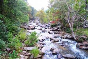 Discover: Broad River Chimney Rock Near You! | Chimney Works – Expert Chimney Repair, Cleaning & Installation Services