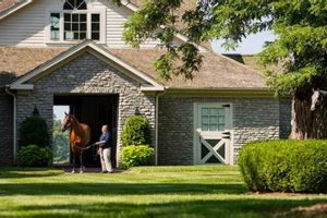 Discover Three Chimneys Farm: A Rural Escape! | Chimney Works – Expert Chimney Repair, Cleaning & Installation Services