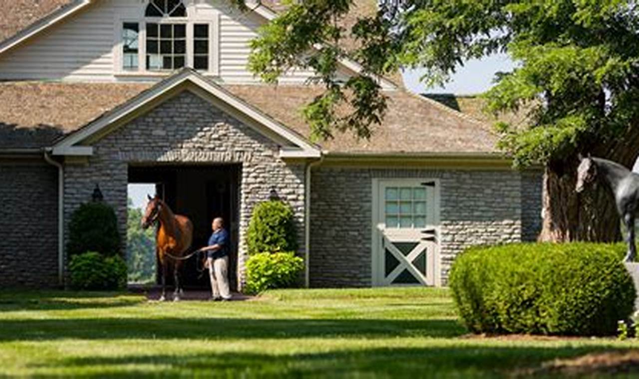 Discover Three Chimneys Farm: A Rural Escape! Chimney Works – Expert Chimney Repair, Cleaning & Installation Services Discover Three Chimneys Farm: A Rural Escape! | Chimney Works – Expert Chimney Repair, Cleaning & Installation Services