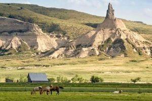 Visit Chimney Rock WY: A Wyoming Landmark + Guide Chimney Works – Expert Chimney Repair, Cleaning & Installation Services Visit Chimney Rock WY: A Wyoming Landmark + Guide | Chimney Works – Expert Chimney Repair, Cleaning & Installation Services