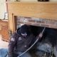Local Chimney Sweep Concord NH: Safe &amp; Expert | Chimney Works – Expert Chimney Repair, Cleaning & Installation Services