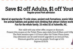Save on Chimney Rock Inn: Coupon Codes & Deals | Chimney Works – Expert Chimney Repair, Cleaning & Installation Services