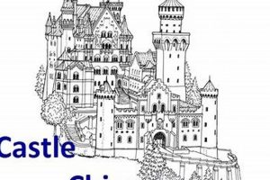 Castle Chimney Care: Repair & Protect Your Fortress! | Chimney Works – Expert Chimney Repair, Cleaning & Installation Services