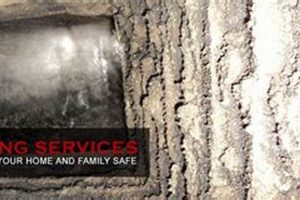 Canton, OH Chimney Sweep Pros: Cleaning &amp; Repair Experts | Chimney Works – Expert Chimney Repair, Cleaning & Installation Services